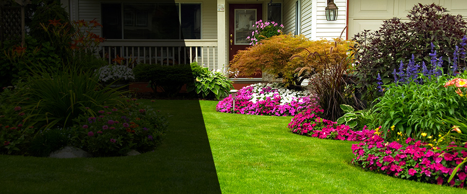 Vail Landscapers