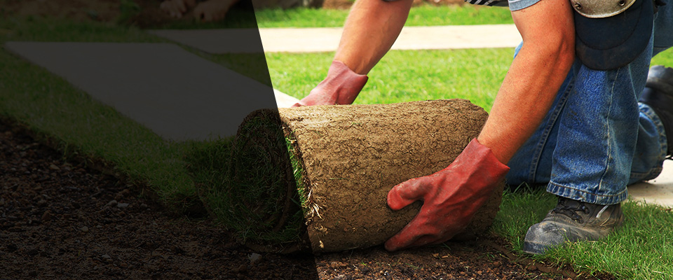 Vail Landscapers